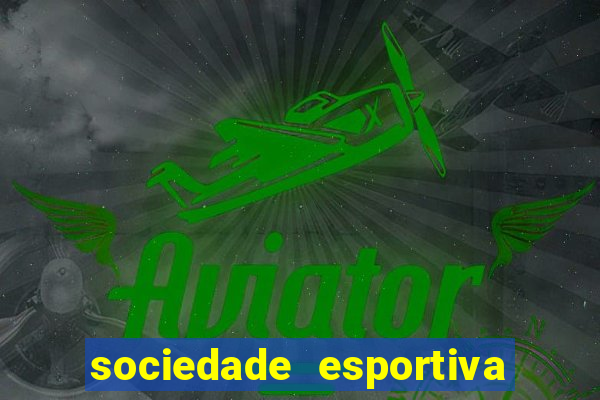 sociedade esportiva palmeiras x botafogo futemax